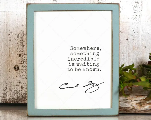 Carl Sagan Quote Art Print, Inspirational Book Lover Decor