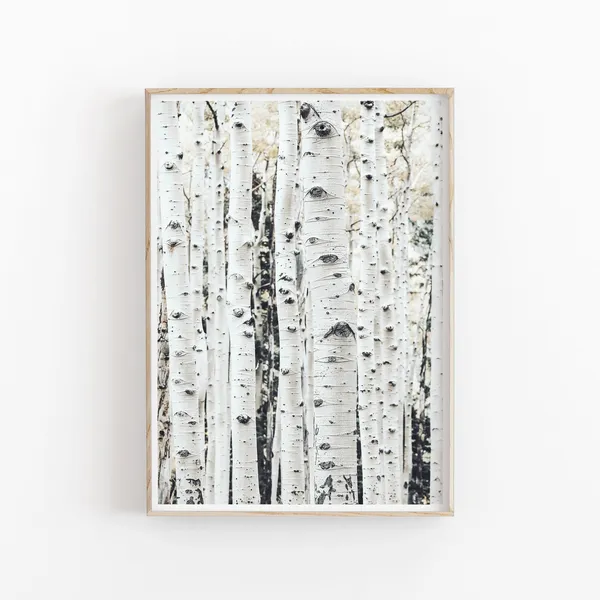Birch Print, Modern Minimalist Nature Poster