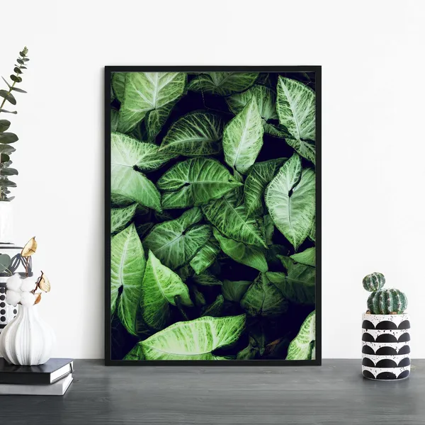 Syngonium Leaves Botanical Art Print