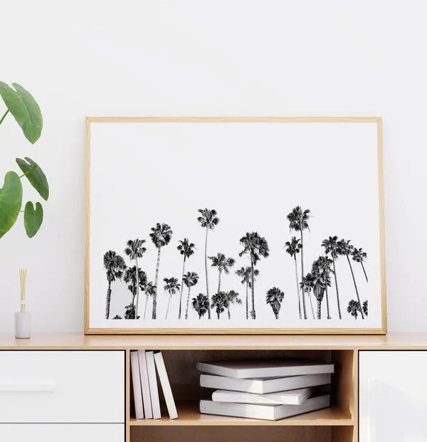 Black and White Palm Tree Photography, Beach Decor