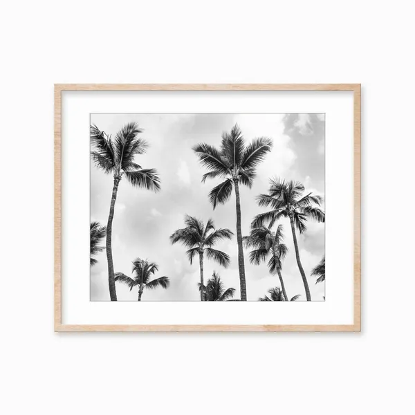 Black White Palm Tree Art Print, Aruba Decor