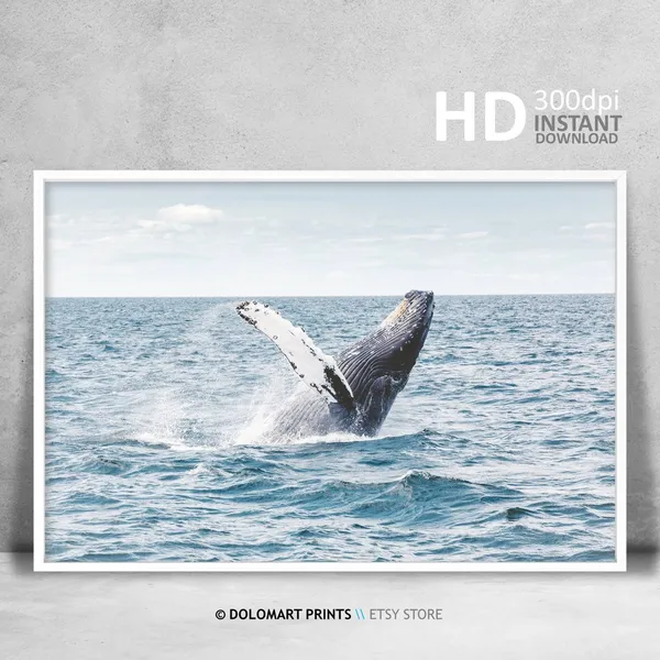 Whale Coastal Style Art Print, Beach House Decor