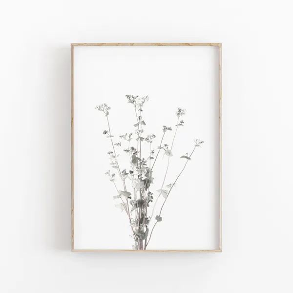Farmhouse Buckwheat Botanical Poster Print