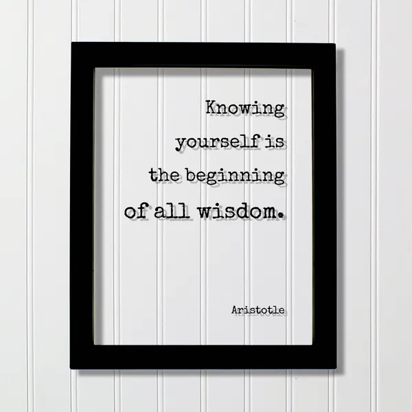 Aristotle Knowing Yourself Is The Beginning