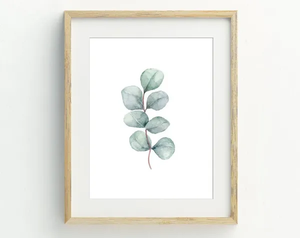 Watercolor Eucalyptus Leaf Minimalist Botanical Art Print