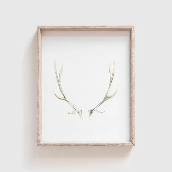 Antlers No 2 Watercolor Art Print, Southwestern
