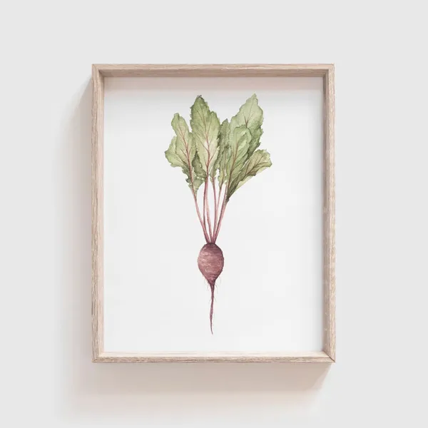 Beet Watercolor Art Print, Kitchen and Dining Decor
