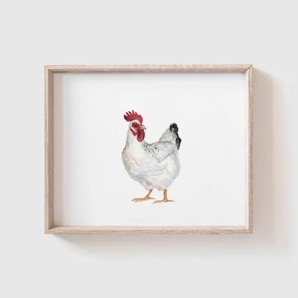 White Chicken Art Print, Farmhouse Kitchen Decor