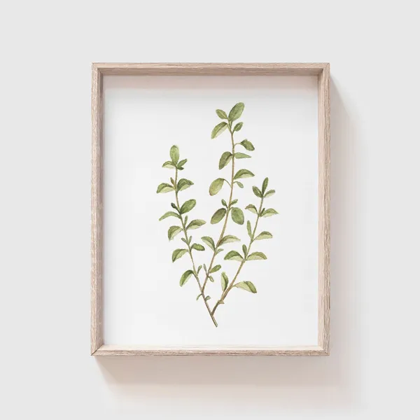 Oregano Watercolor Art Print, Kitchen Herb Decor