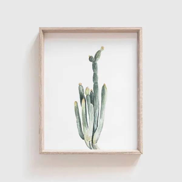 Smooth Cactus No. 3 Art Print, Southwestern Watercolor