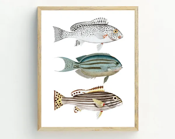 Fish Coastal Decor Nautical Wall Art Print