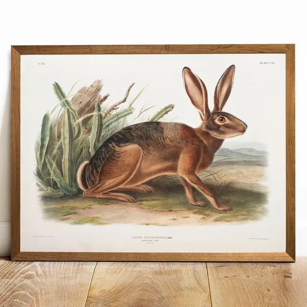 Antique Hare Vintage Animal Poster Print