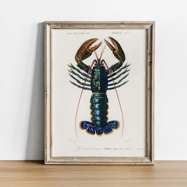 Crawfish Antique Print Illustration, Vintage Fish Poster