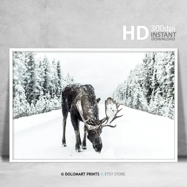 Moose in Snow Rustic Christmas Holiday Poster