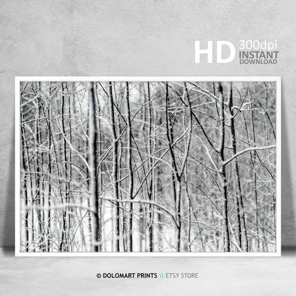 Winter Snow Forest Art Print, Christmas Wall Decor