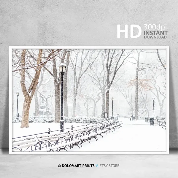 New York Central Park Under Snow Art Print