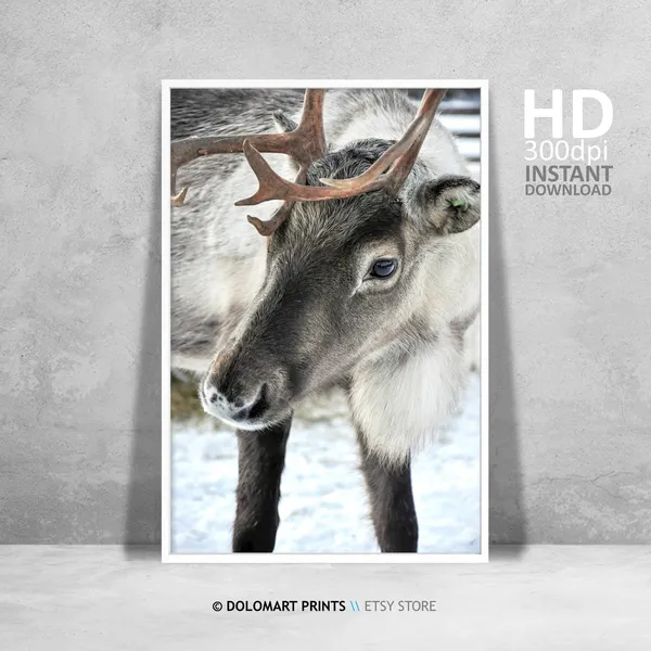 Rustic Reindeer Art Print, Christmas Holiday Decor