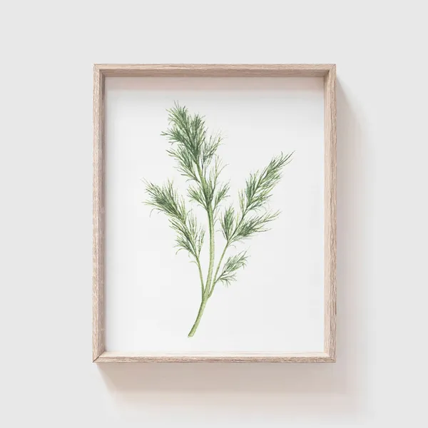 Dill Watercolor Herb Art Print, Kitchen Decor