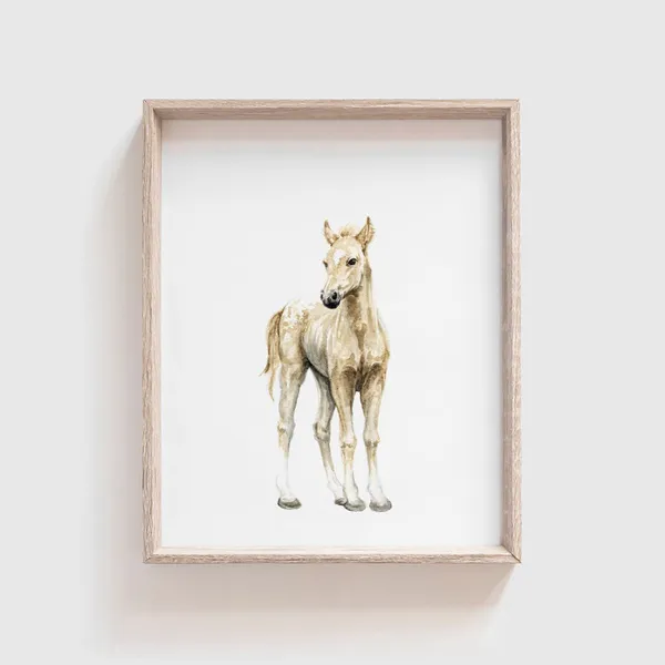 Horse No 1 Watercolor Art Print, Baby Horse