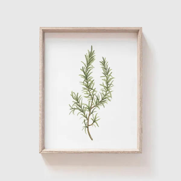 Rosemary Watercolor Art Print, Kitchen Decor