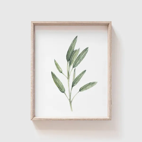 Sage Watercolor Art Print, Farmhouse Kitchen Decor