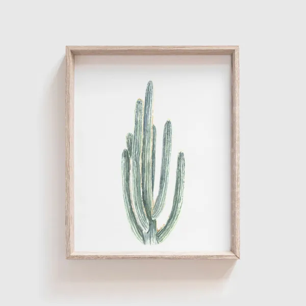 Smooth Cactus No. 2 Watercolor Art Print, Southwest