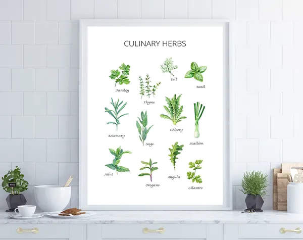 Herbs Kitchen Art Print, Culinary Botanical Decor