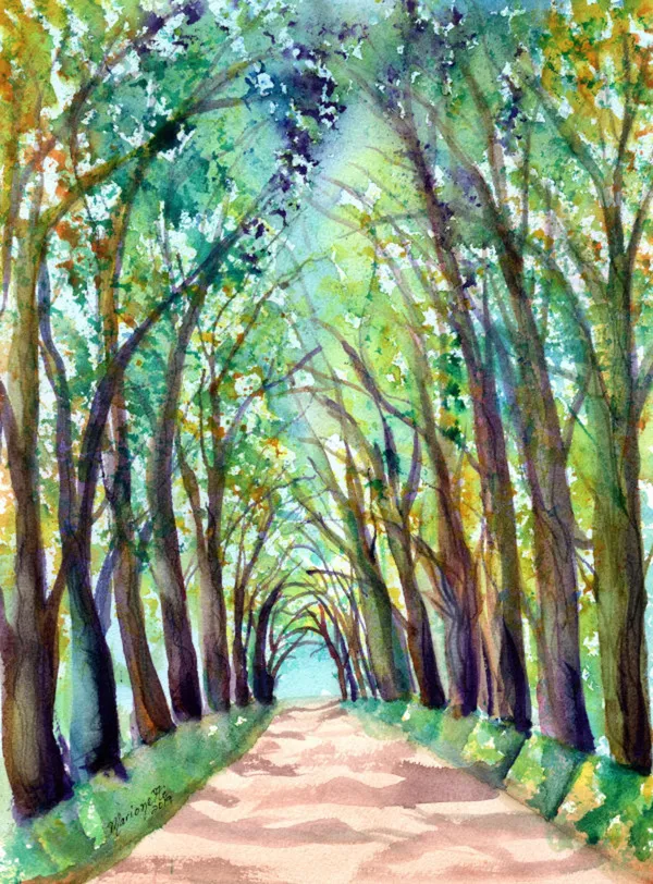 Kauai Tree Tunnel Art Print, Kauai Hawaii Scene