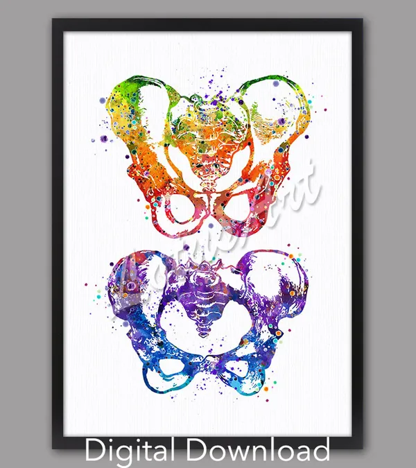 Pelvis Watercolor Art Print, Medical Anatomy Decor