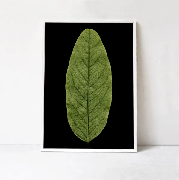 Green Leaf Print, Botanical Wall Art Print