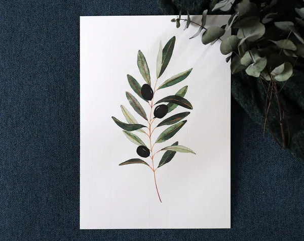 Olive Branch Watercolor Cardposter Art Print