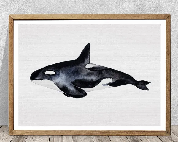 Orca Watercolor Whale Art Print, Whale Nursery