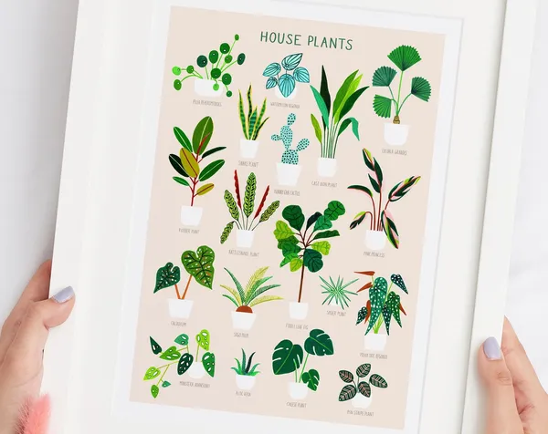 House Plants On Pink Botanical Poster Print