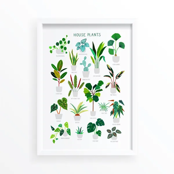 House Plants Botanical Art Print, Botanical Wall Decor