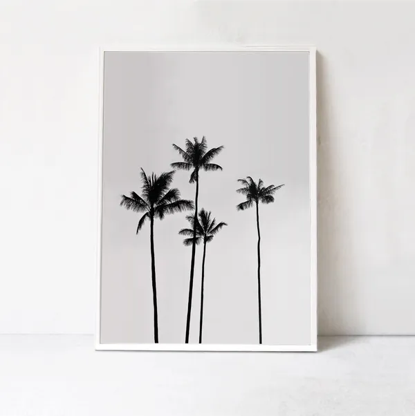 Palm Tree - Black And White Tropical