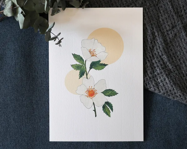 Rose Of The Fields Watercolor Art Print
