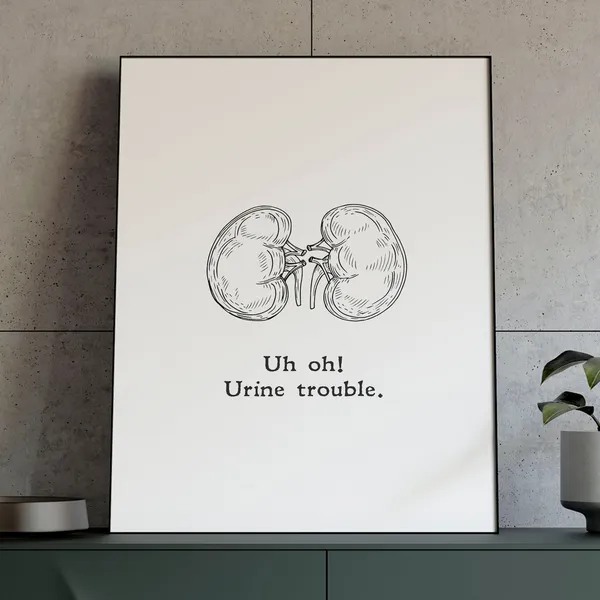 Kidney Joke Humor Poster, Minimalist Medical Gift