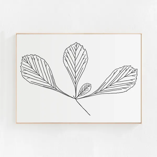 Minimalist Botanical Illustration Art Print