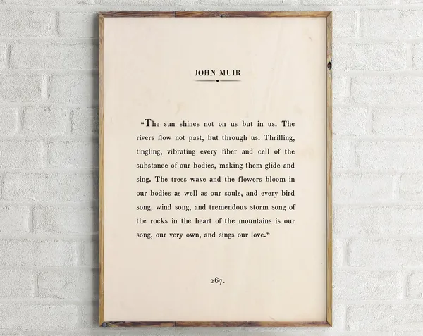 John Muir Quote Art Print, Vintage Book Page