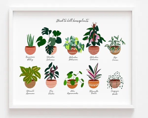 House Plant Bohemian Poster, Botanical Wall Art