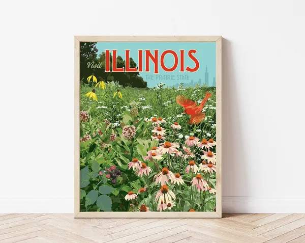 Illinois Prairie State Wildflower Vintage Travel Poster