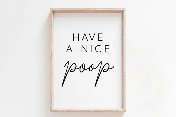 Have A Nice Poop Bathroom Sign Funny Wall Print