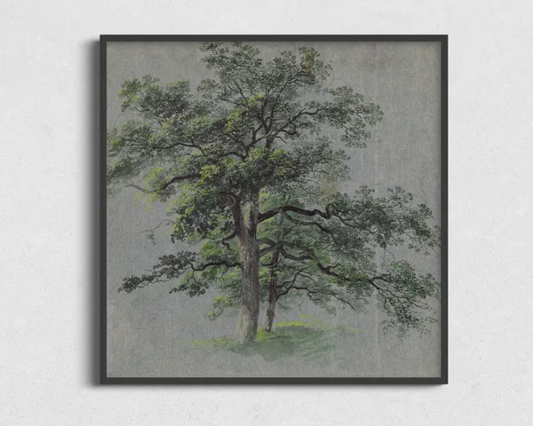 Vintage Tree Sketch Art Print, Nature Wall Decor