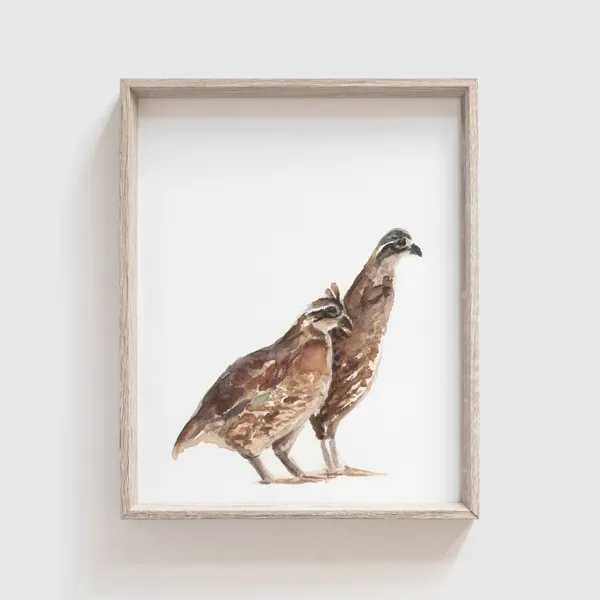 Quail Pair Watercolor Art Print, Bobwhite Birds
