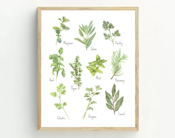 Herbs Kitchen Minimalist Art Print, Wall Decor