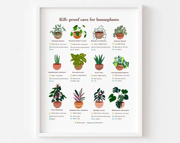 Houseplant Care Guide, Beginner Plant Chart Art Print