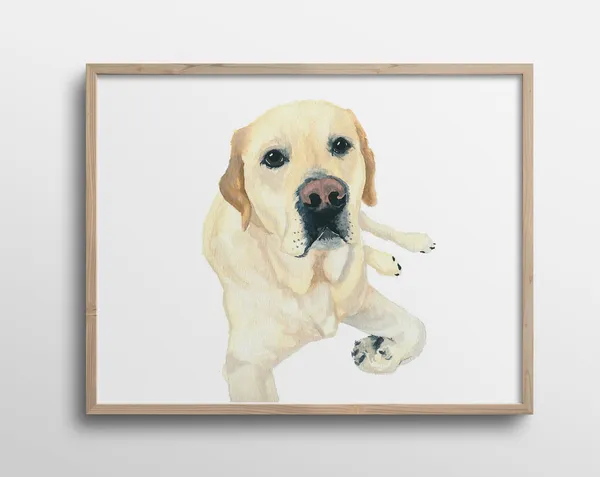 Morgan The English Labrador Retriever Watercolor Art Print