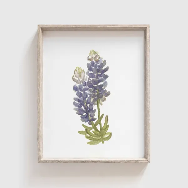 Bluebonnet Watercolor Art Print, Floral Home Decor