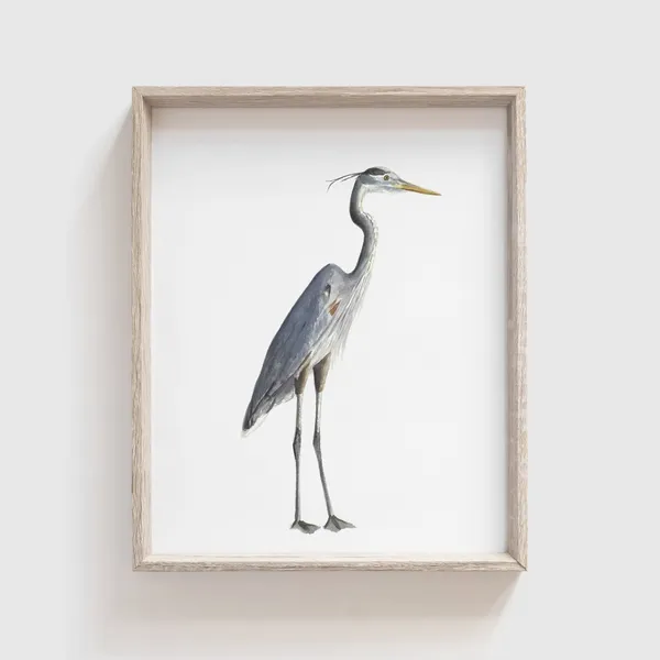 Blue Heron Watercolor Art Print, Bird Painting