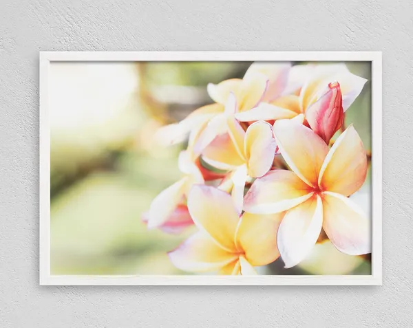 Hawaiian Plumeria Beach Art Print